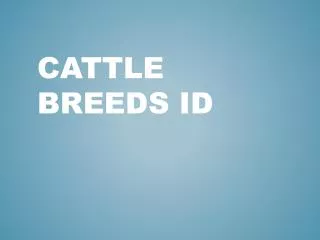 Cattle Breeds ID