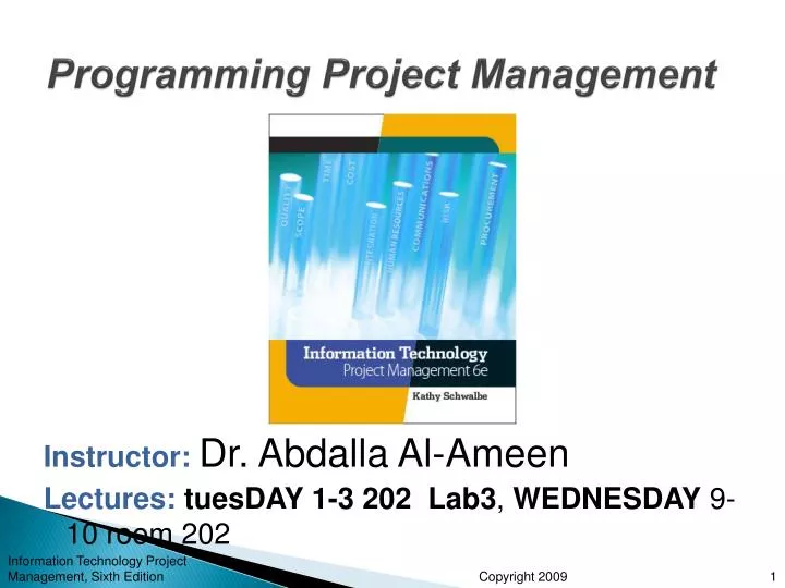 programming project management