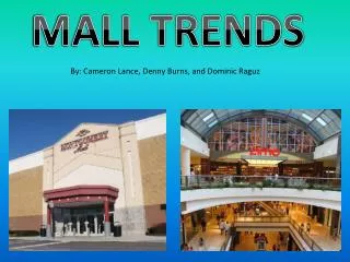 MALL TRENDS
