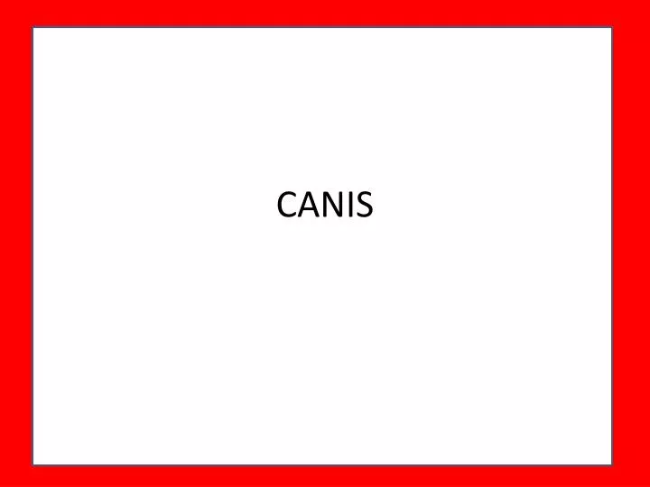 canis