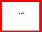 CANIS - slide 1