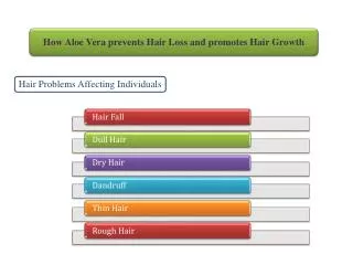 Hair Loss Cure through Natural Way Aloe Vera