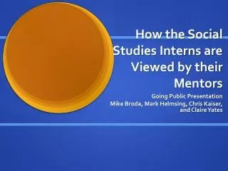 How the Social Studies Interns are Viewed by their Mentors