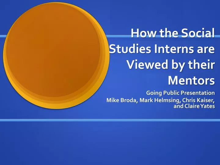 how the social studies interns are viewed by their mentors