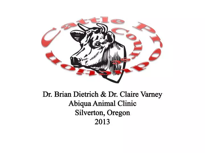 dr brian dietrich dr claire varney abiqua animal clinic silverton oregon 2013