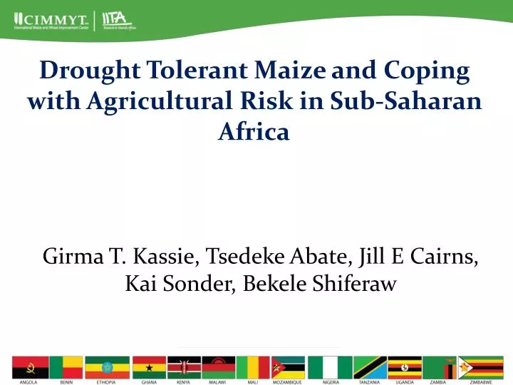drought tolerant maize and coping with agricultural risk in sub saharan africa