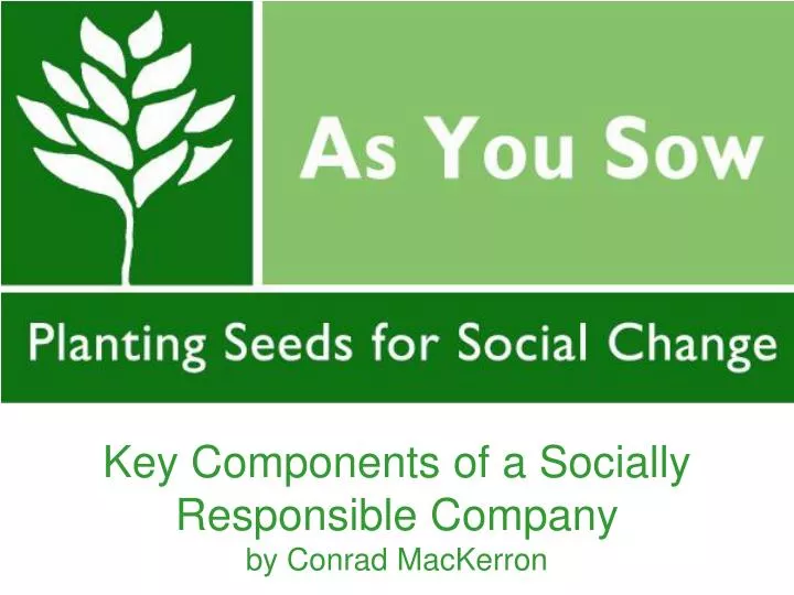 key components of a socially responsible company by conrad mackerron