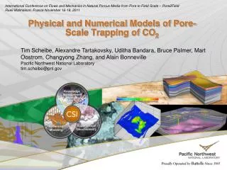 Physical and Numerical Models of Pore-Scale Trapping of CO 2