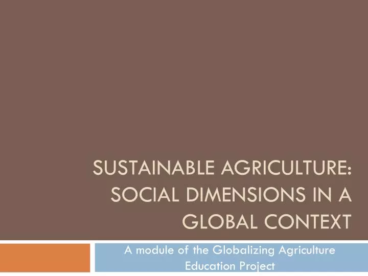 sustainable agriculture social dimensions in a global context