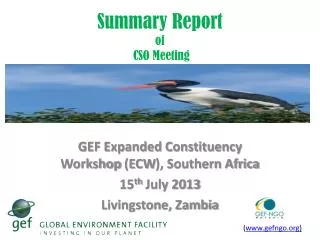 Summary Report of CSO Meeting