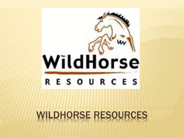 wildhorse resources