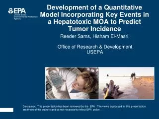 Development of a Quantitative Model Incorporating Key Events in a Hepatotoxic MOA to Predict Tumor Incidence