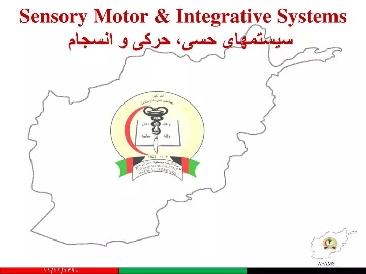 sensory motor integrative systems