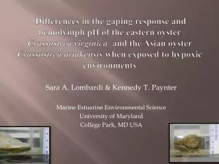 Sara A. Lombardi &amp; Kennedy T. Paynter Marine Estuarine Environmental Science University of Maryland College Park, M