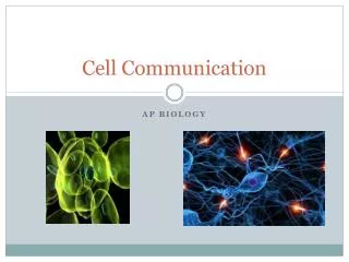 cell communication