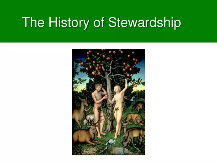 the history of stewardship
