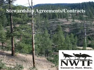 Stewardship Agreements/Contracts