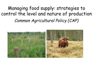Managing food supply: strategies to control the level and nature of production Common Agricultural Policy (CAP)