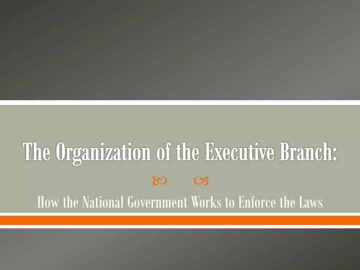 the organization of the executive branch