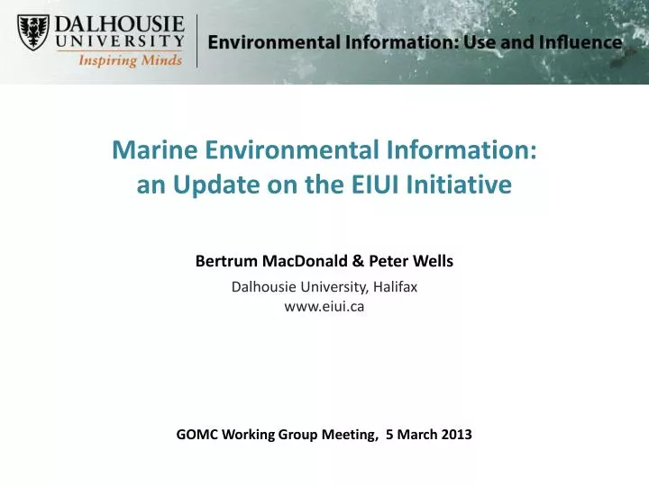 marine environmental information an update on the eiui initiative