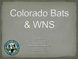 Colorado Bats &amp; WNS