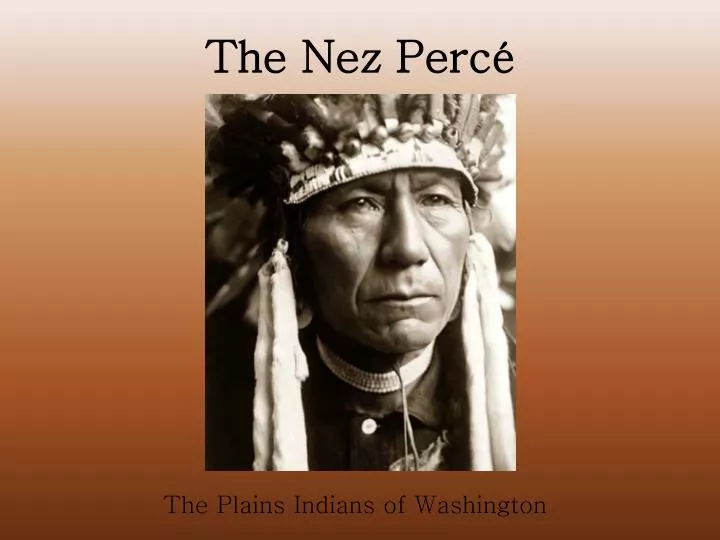 the nez perc