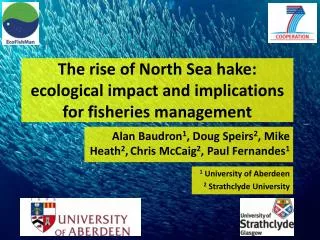 The rise of North Sea hake: ecological impact and implications for fisheries management