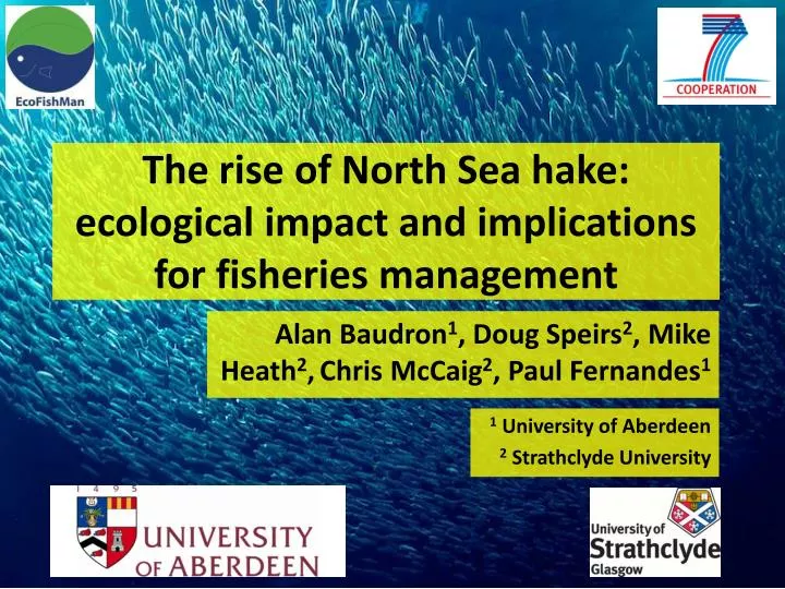 the rise of north sea hake ecological impact and implications for fisheries management