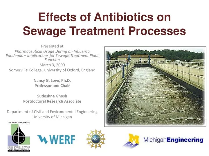 effects of antibiotics on sewage treatment processes