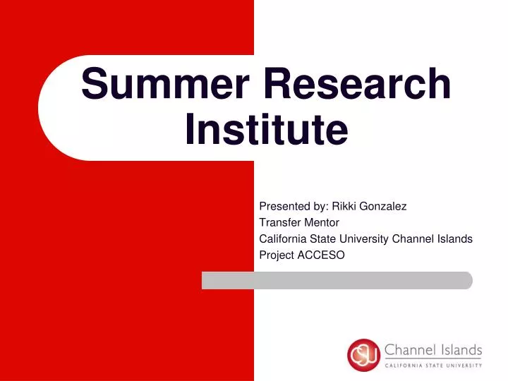 summer research institute