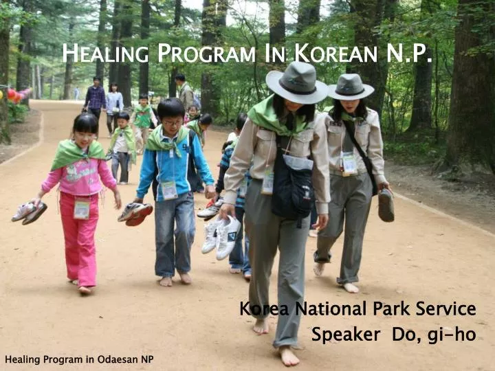 healing program in kore an n p