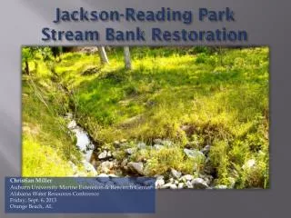 Jackson-Reading Park Stream Bank Restoration