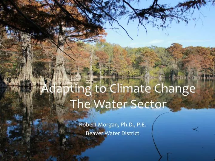 adapting to climate change the water sector
