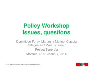 Policy Workshop Issues, questions