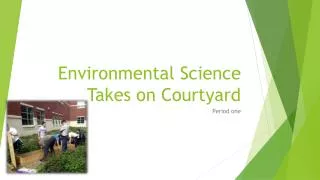 environmental science takes on courtyard