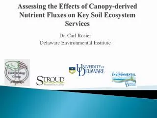 Assessing the Effects of Canopy-derived Nutrient Fluxes on Key Soil Ecosystem Services