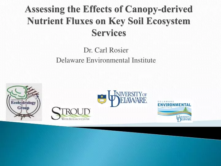assessing the effects of canopy derived nutrient fluxes on key soil ecosystem services