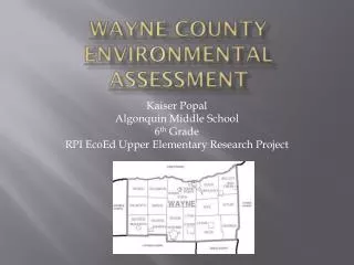 wayne county environmental assessment