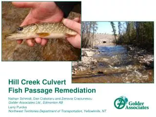 Hill Creek Culvert Fish Passage Remediation