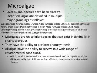 Microalgae