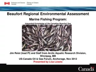 Beaufort Regional Environmental Assessment Marine Fishing Program: Integrated Knowledge of the Canadian Beaufort Sea
