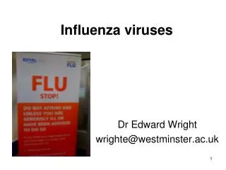 Influenza viruses