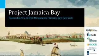 Project Jamaica Bay