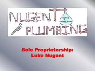 Sole Proprietorship: Luke Nugent