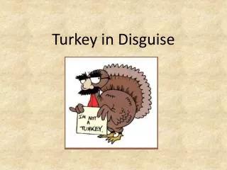 Turkey in Disguise