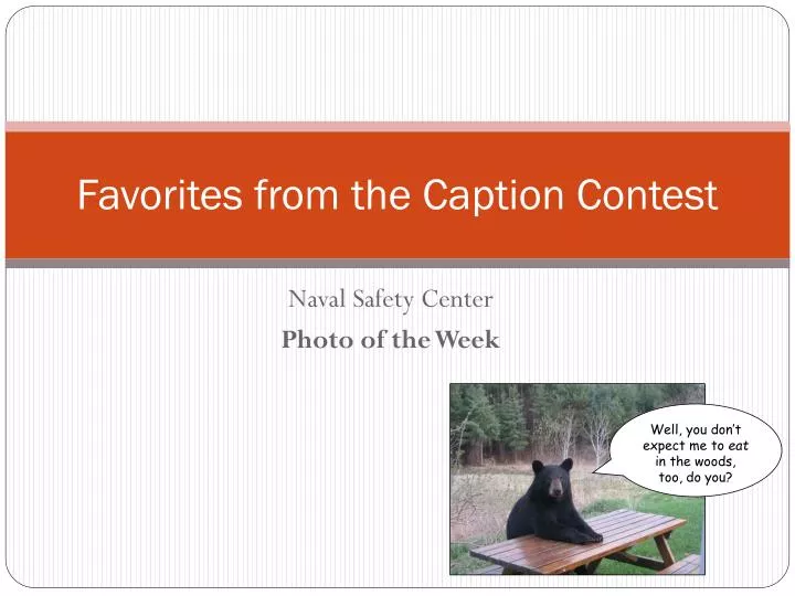 favorites from the caption contest