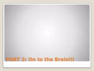 PART 2: On to the Brain!!!