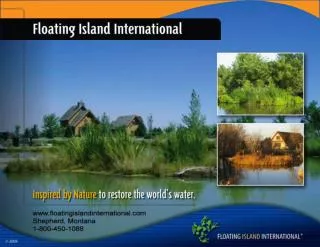 Floating Treatment Wetlands are the newest advance in the established field of constructed wetlands.