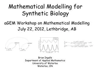 Mathematical Modelling for Synthetic Biology