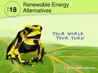 renewable energy alternatives